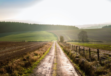 Muddy and sandy road