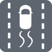 Stability Control & Traction Control Icon