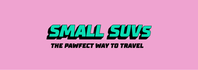 SMALL SUVs… THE PAWFECT WAY TO TRAVEL