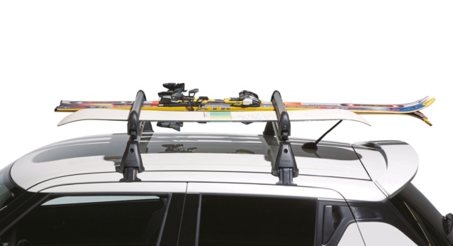 Ski Carrier