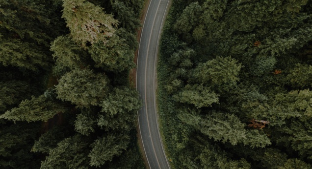 Aerial shot of road and trees