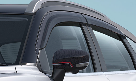 Door visor