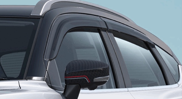 Door Visor